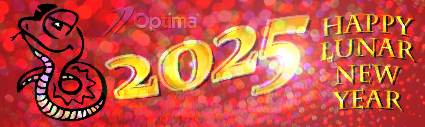 Happy Lunar New Year 2025